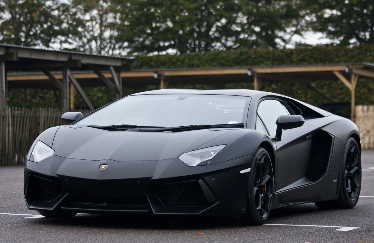 Чёрный Lamborghini (35 фото)