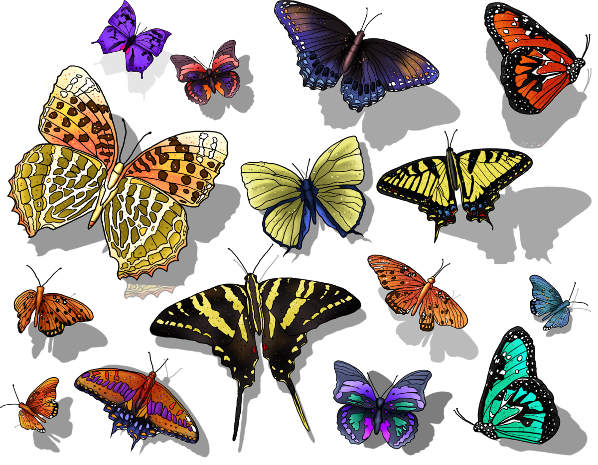 Цветные бабочки на светлом фоне (22 фото)