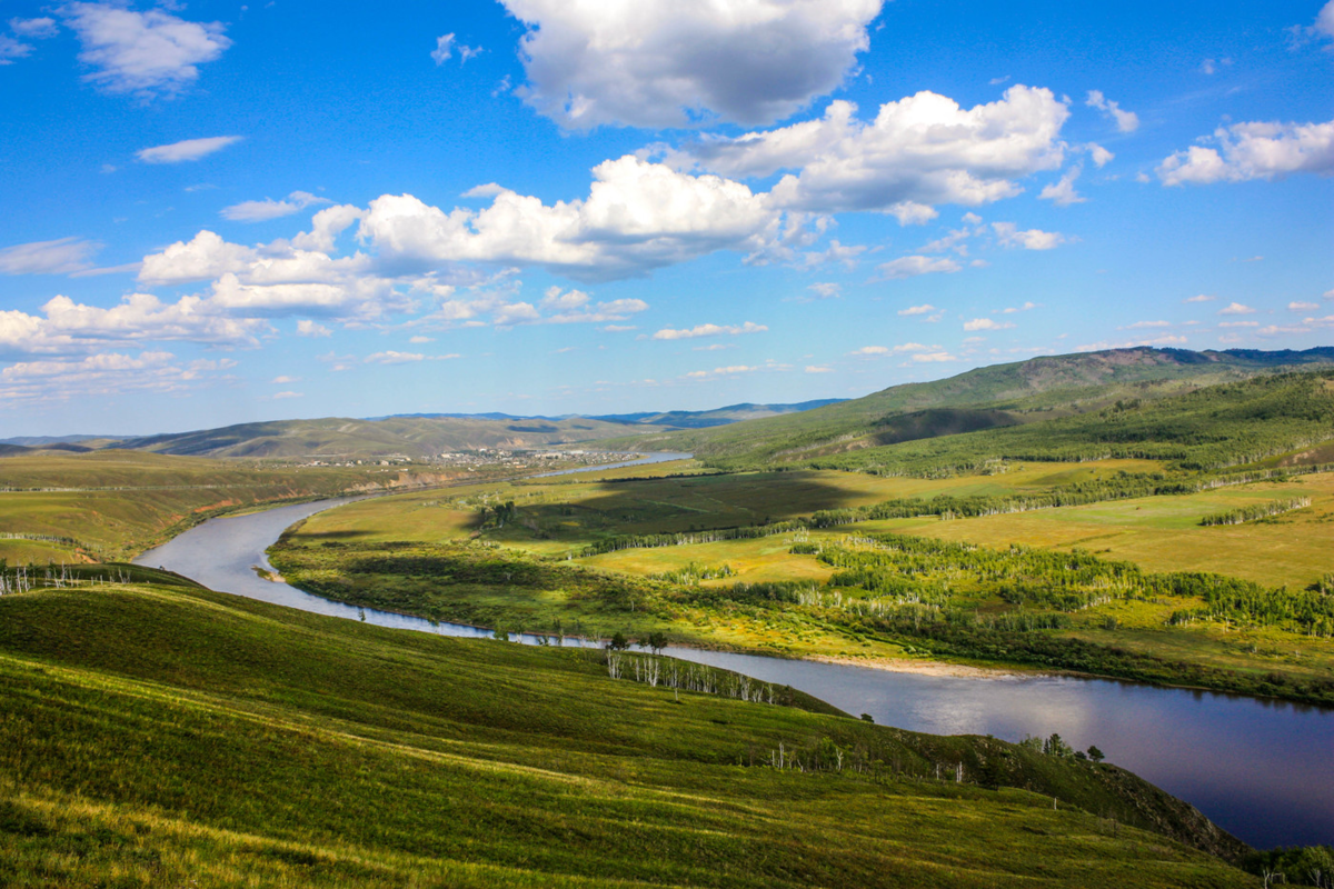 Купить Цветы В Шилке Забайкальский Край