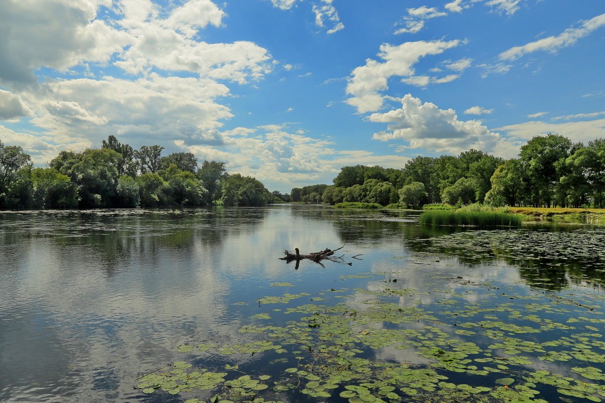 Село сейм. Река Сейм Курск. Река Сейм Карыж. Карыж Курская область река Сейм.