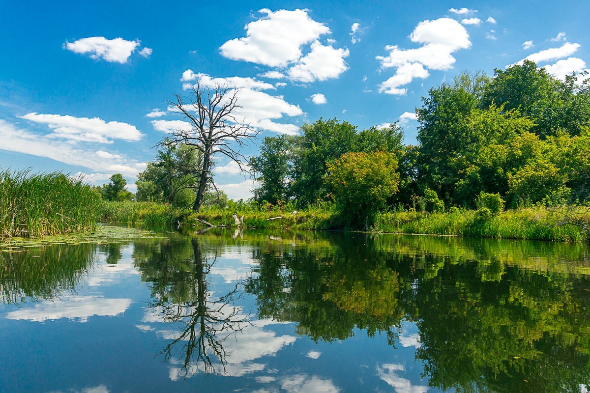 Река Битюг Фото