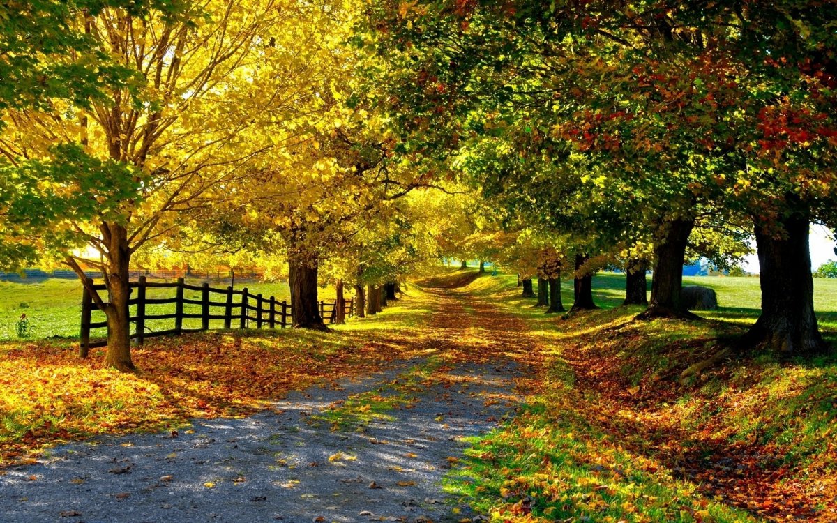 Осенний пейзаж (60 фото)