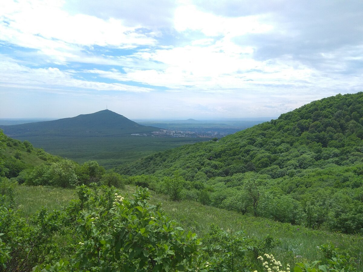 Гора в кисловодске называется. Гора Бештау Кисловодск. Гора Бештау фото. Гора Бештау с Машука фото. Кисловодск горы.