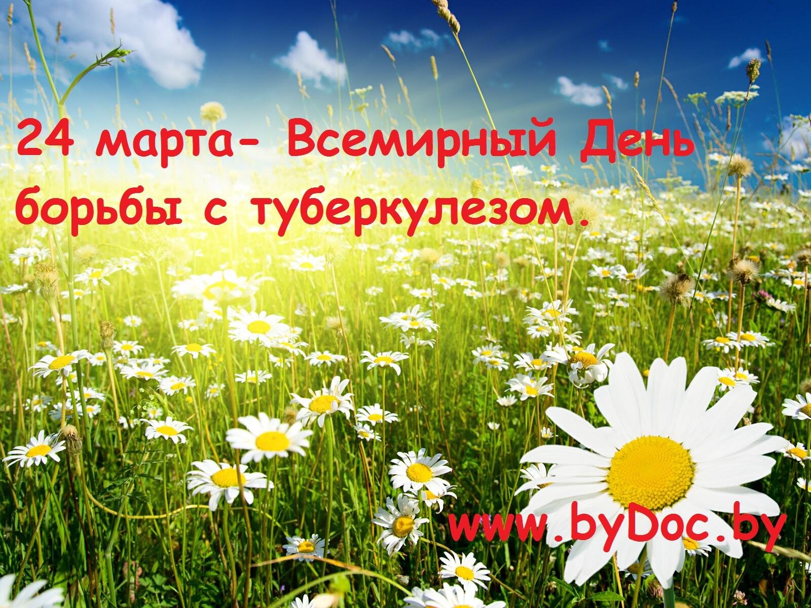 С наступающим началом лета. Лето началось. Лето наступило. Борьба с туберкулезом. Открытки с наступлением лета.