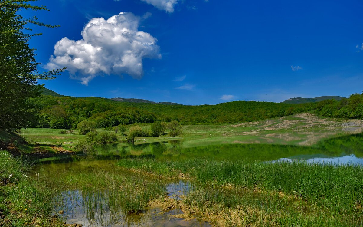 Природа оренбургской области фото