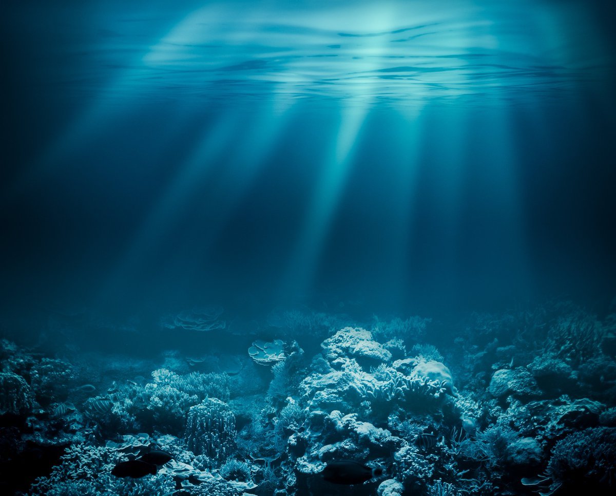Глубокий океан (60 фото)