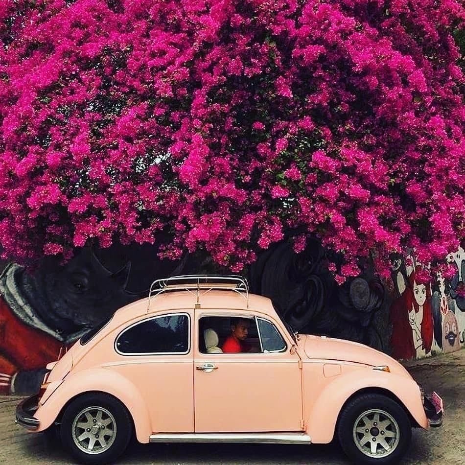 Розовая машина (62 фото)