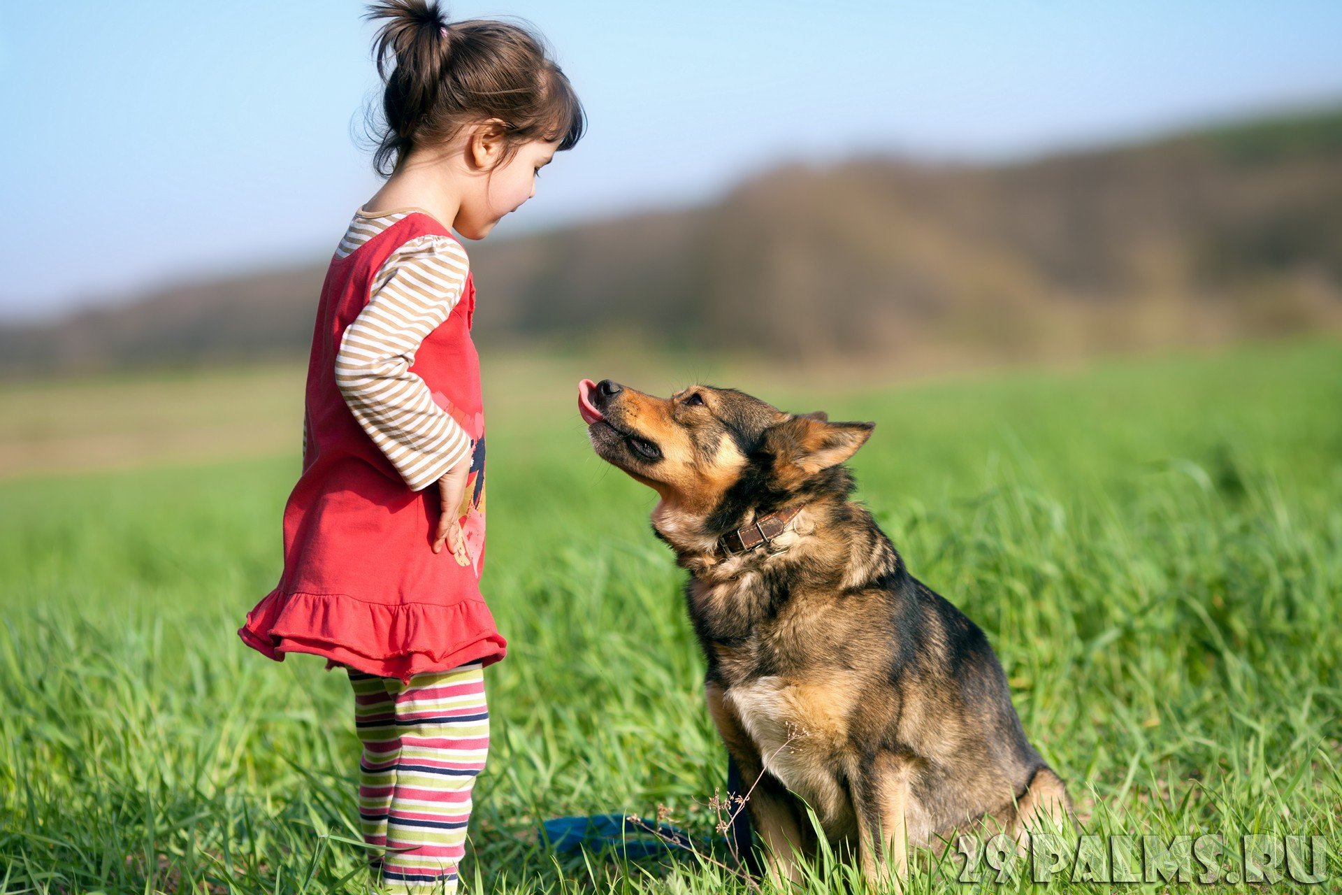 Ребенок жил с собакой. Девочка с собакой. Девочка и щенок. Собака для детей. Маленькие девочки с собаками.