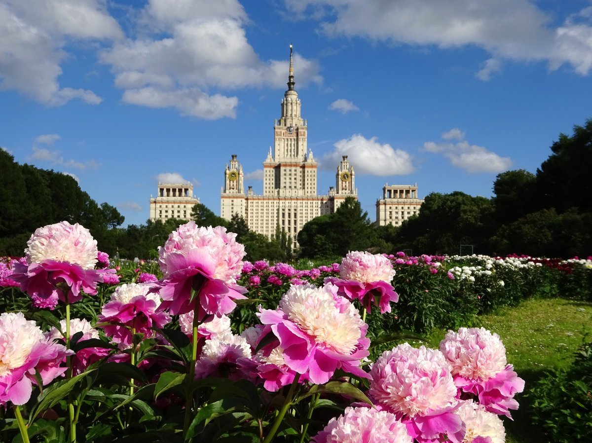 Фото Цветов Москва