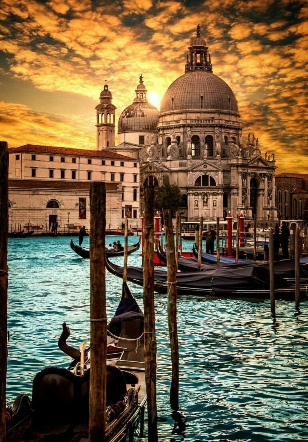 Back Page Venice