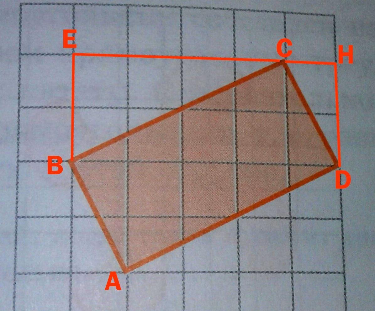 Теорема о площади прямоугольника (58 фото)
