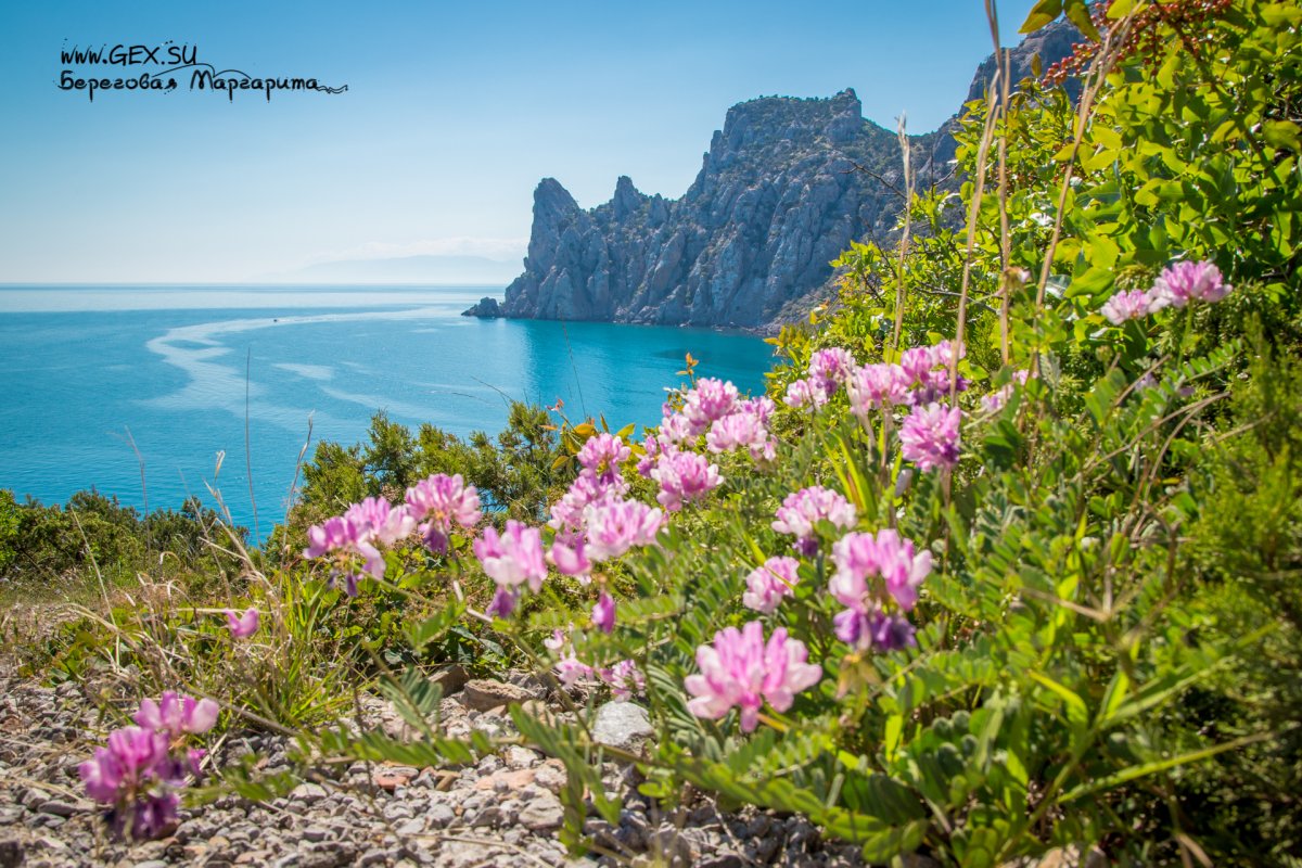 Весна в Крыму (59 фото)