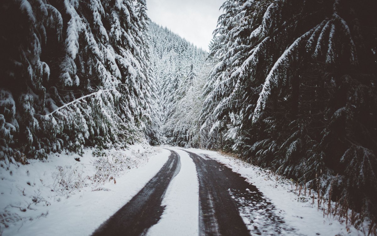 Снежная дорога (61 фото)