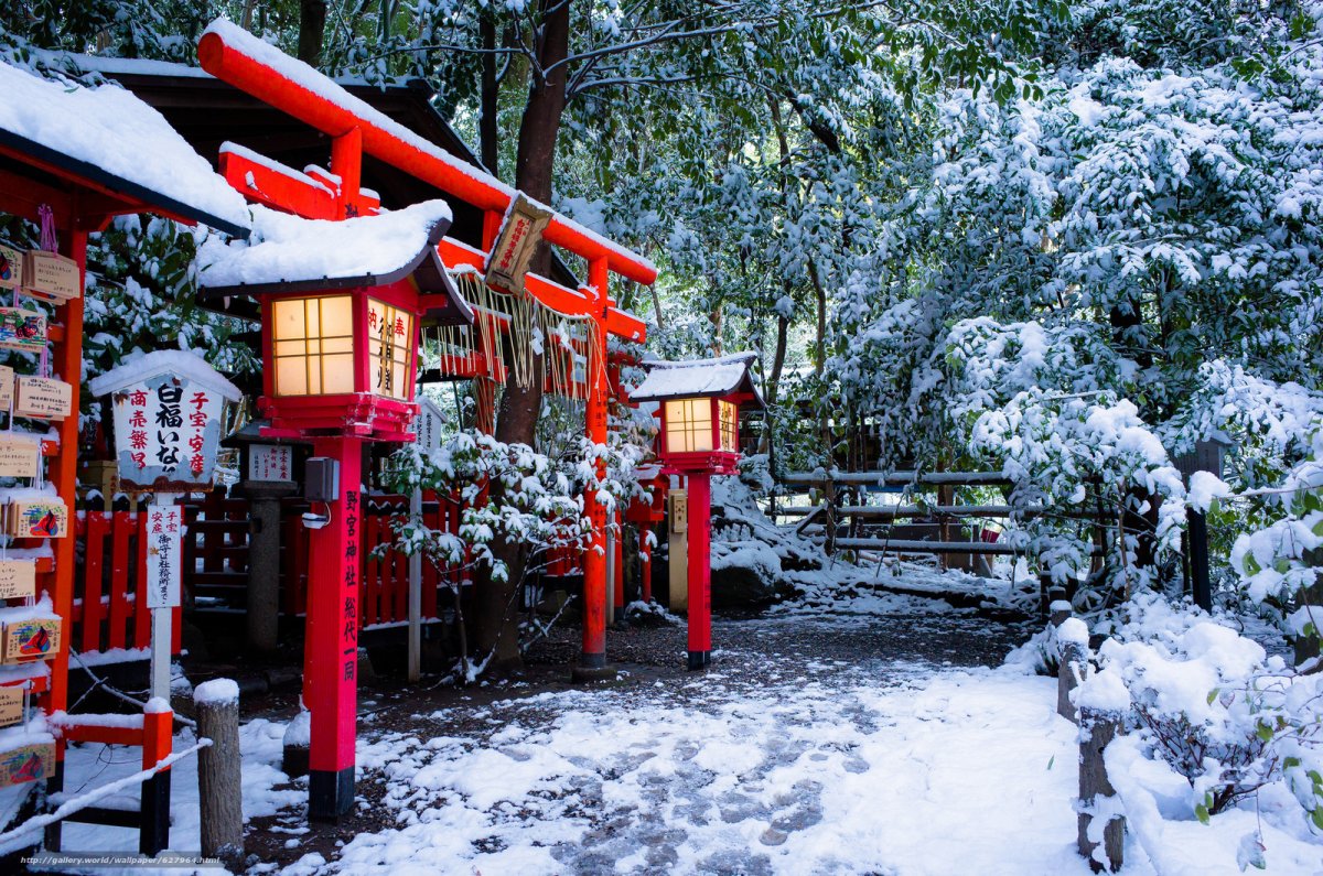 Зима в Японии (53 фото)