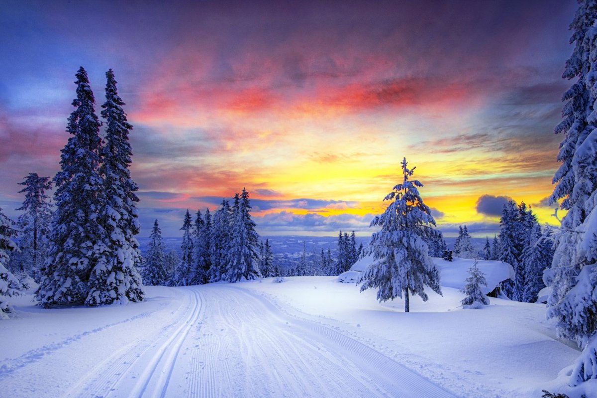 Зима пейзаж (63 фото)