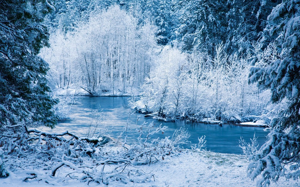Природа зима (63 фото)