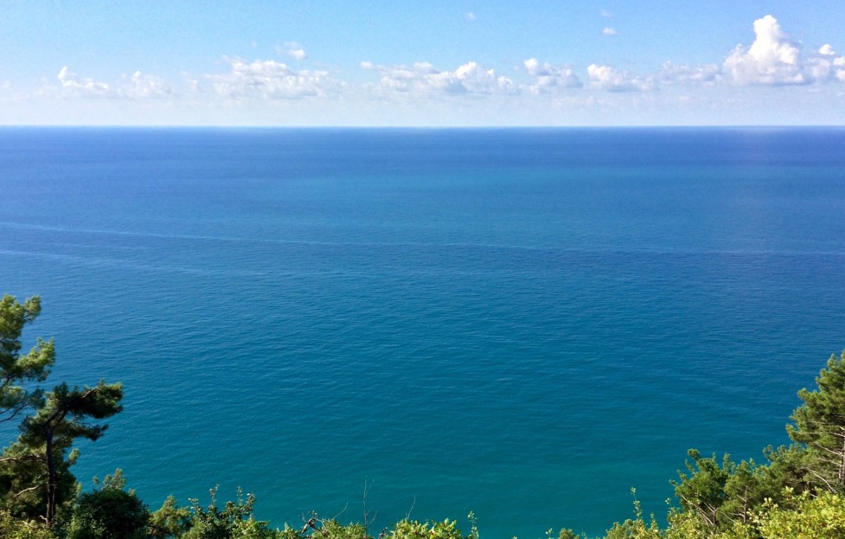 Черное море Крым (51 фото)