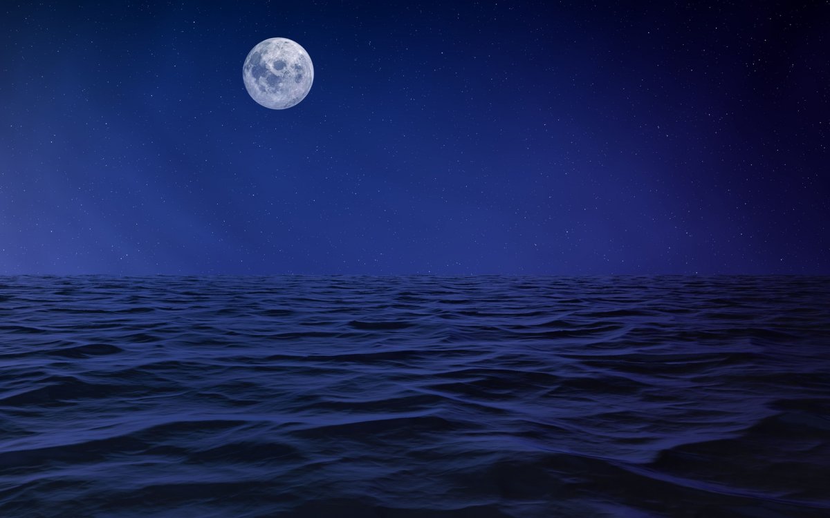 Море ночью (62 фото)
