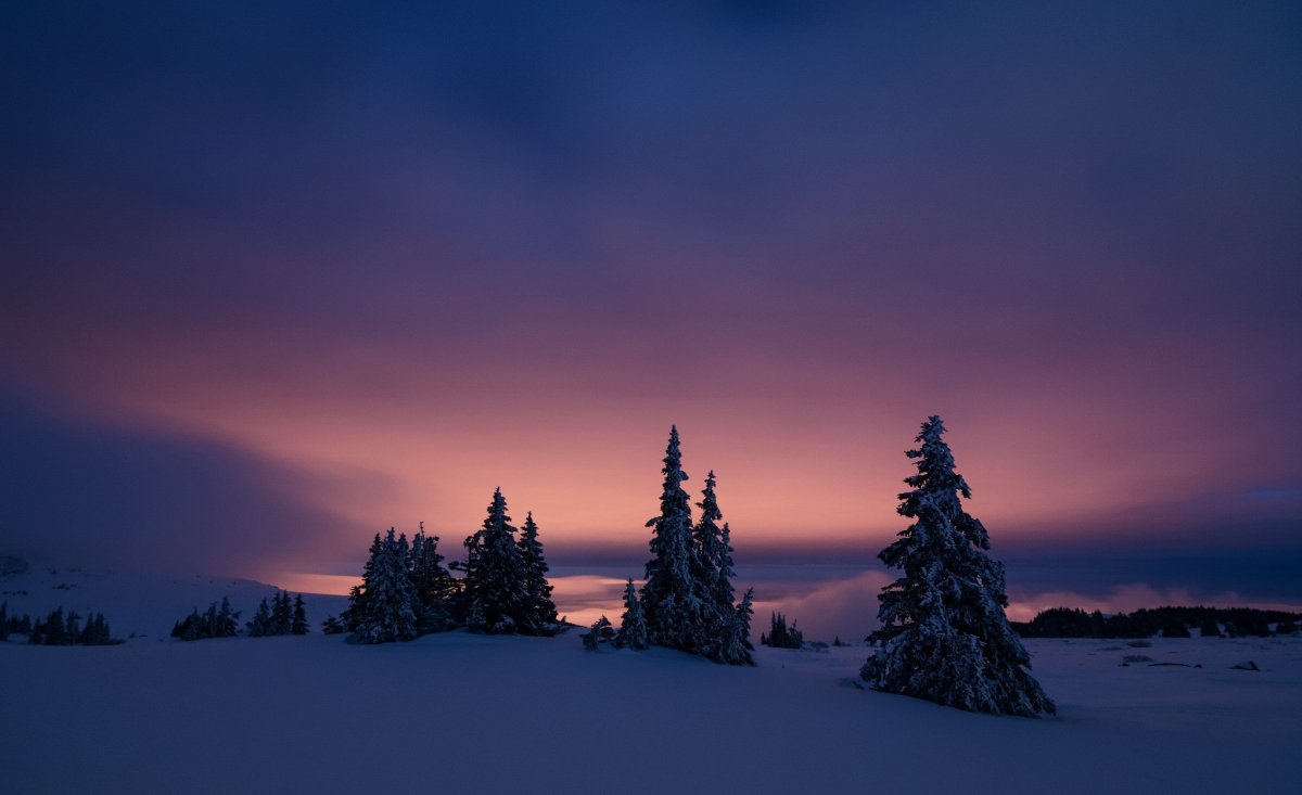 Зима ночь (62 фото)