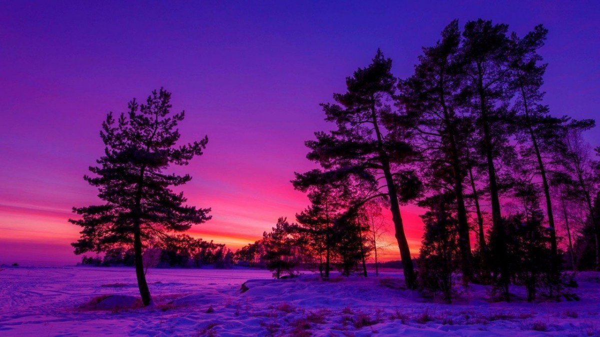 Закат зимой (63 фото)