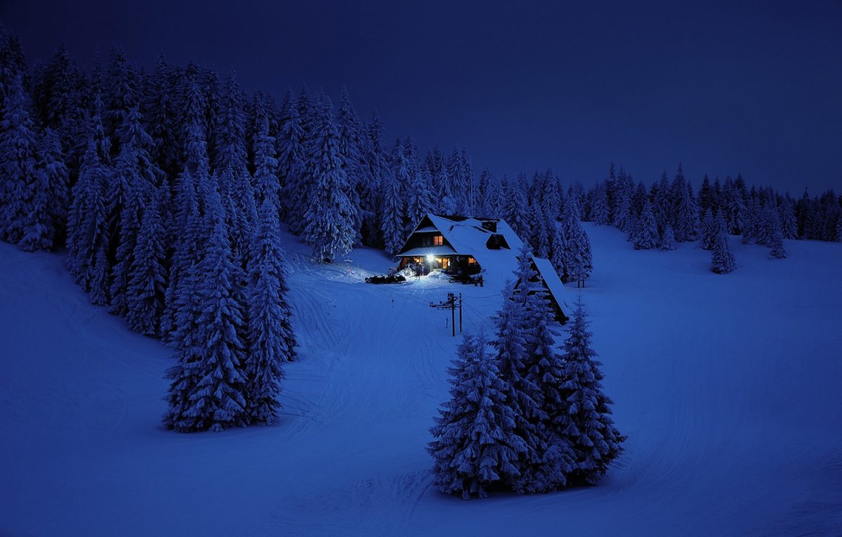 Зимний лес ночью (57 фото)