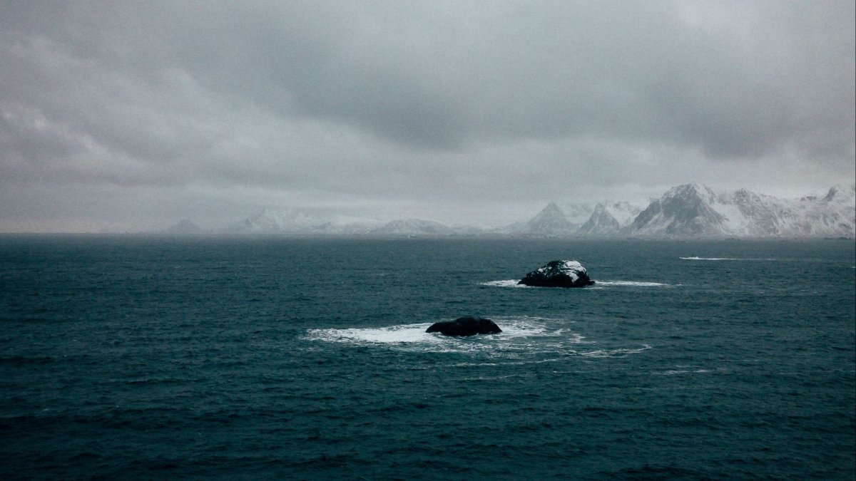 Холодное море (51 фото)