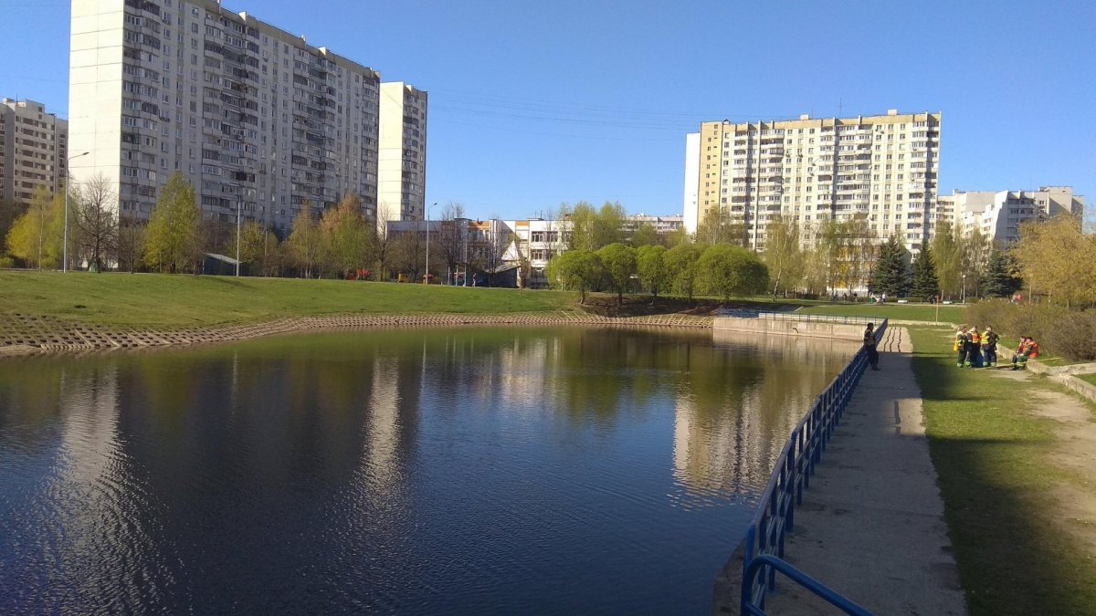 Школьное озеро Зеленоград (47 фото)
