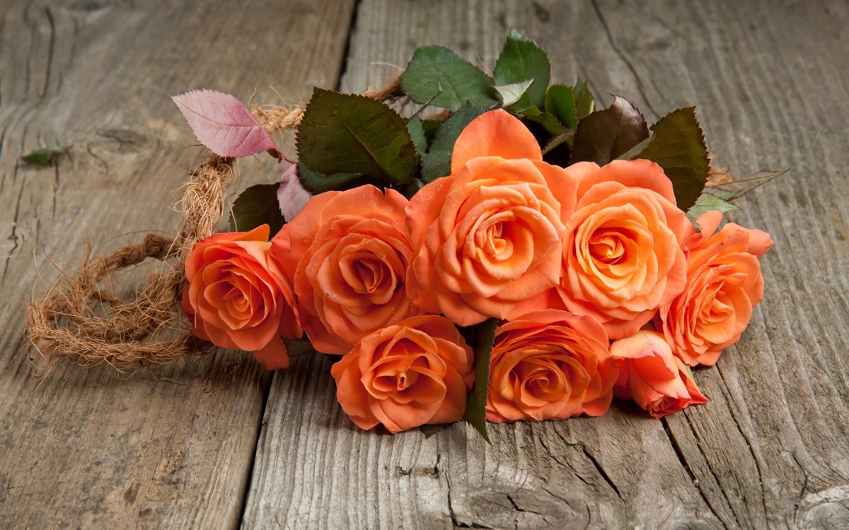 Оранжевые розы (55 фото)