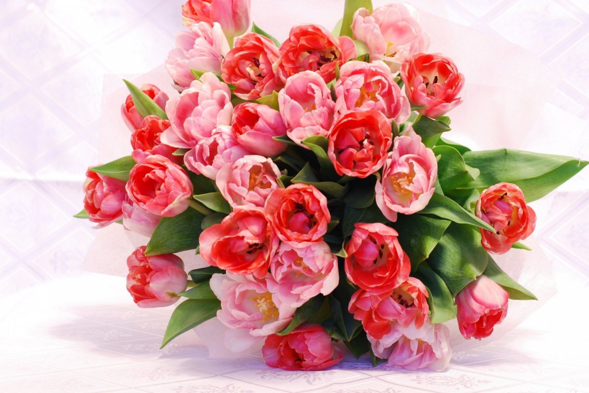 Букет розы и тюльпаны (59 фото)