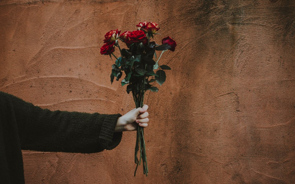 Роза в руке (55 фото)