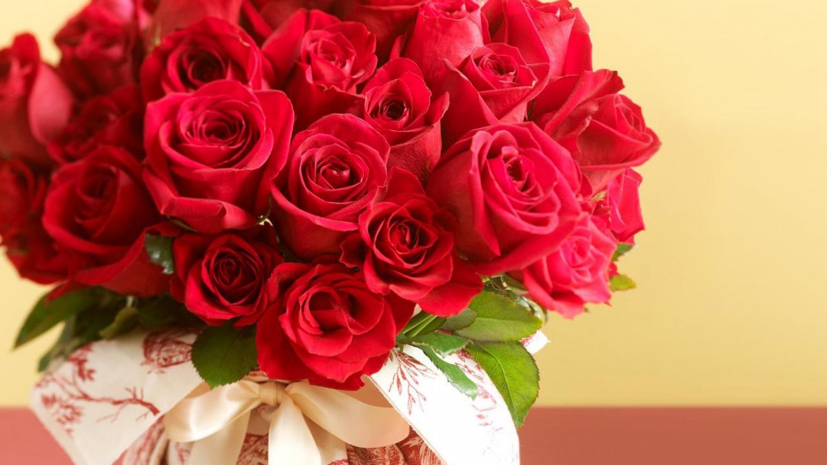Огромный букет красных роз (50 фото)