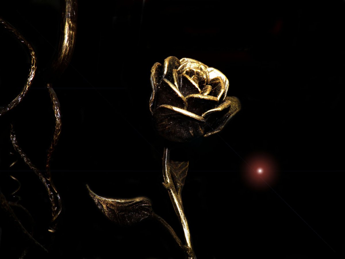 Золотая роза (57 фото)