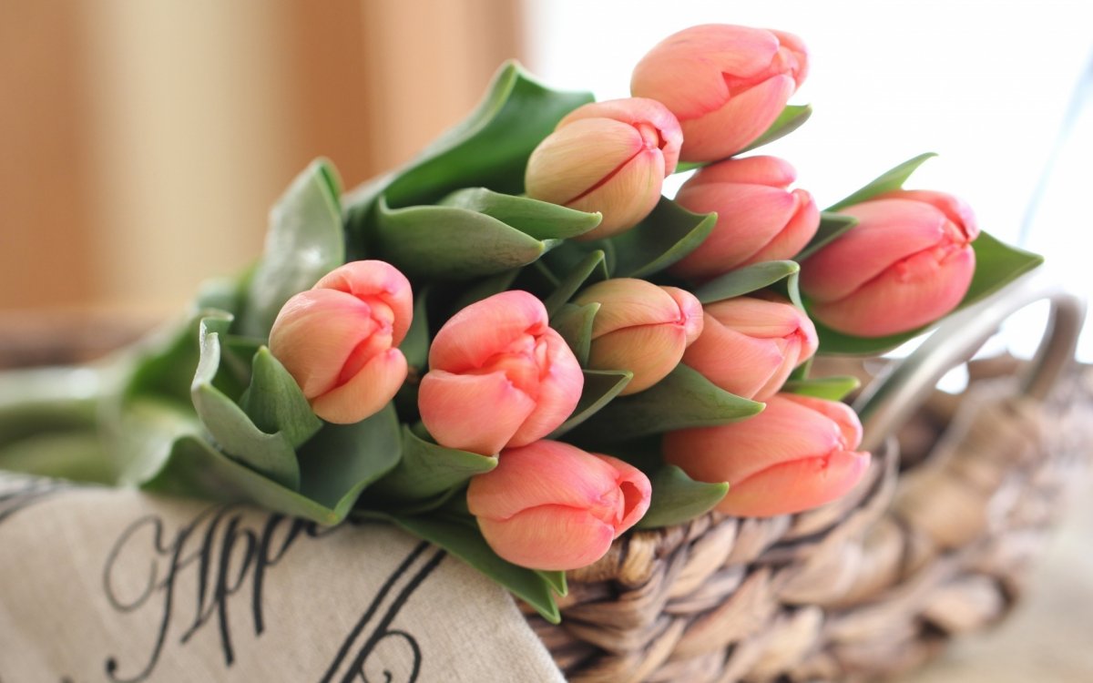 Букет тюльпанов в руках (31 фото)