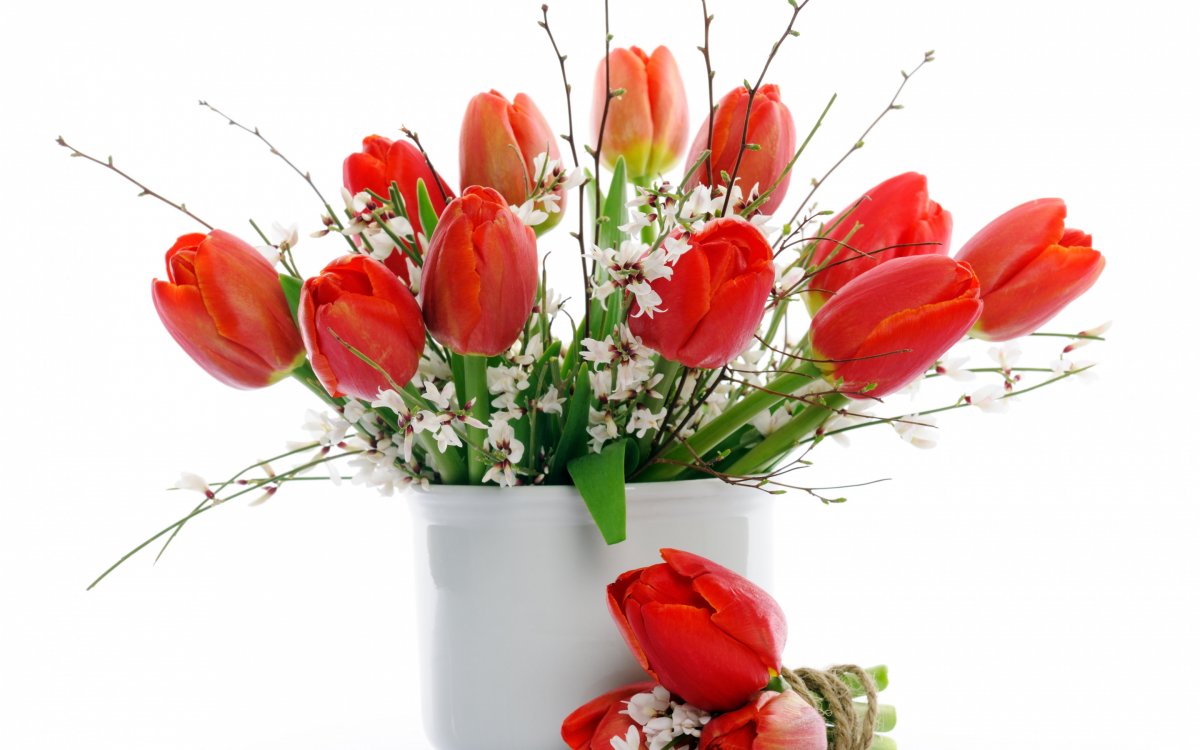 Букет из красных тюльпанов (59 фото)