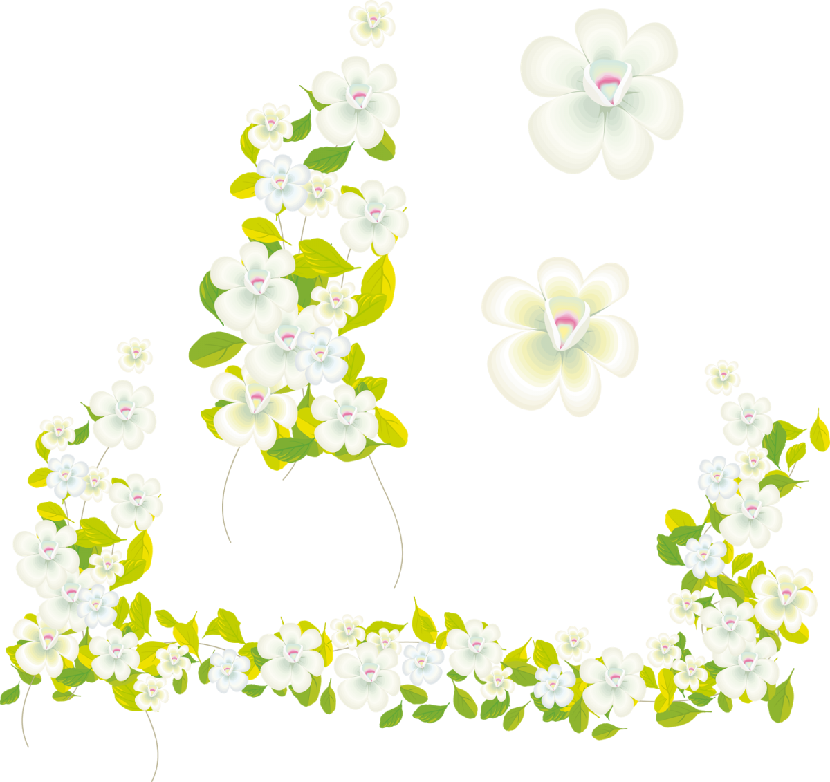 Клипарт весенние цветы на прозрачном фоне (53 фото)