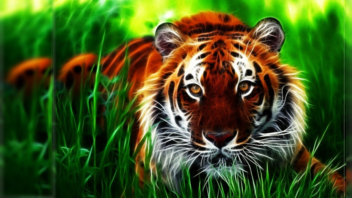 Тигр картинки (59 фото)