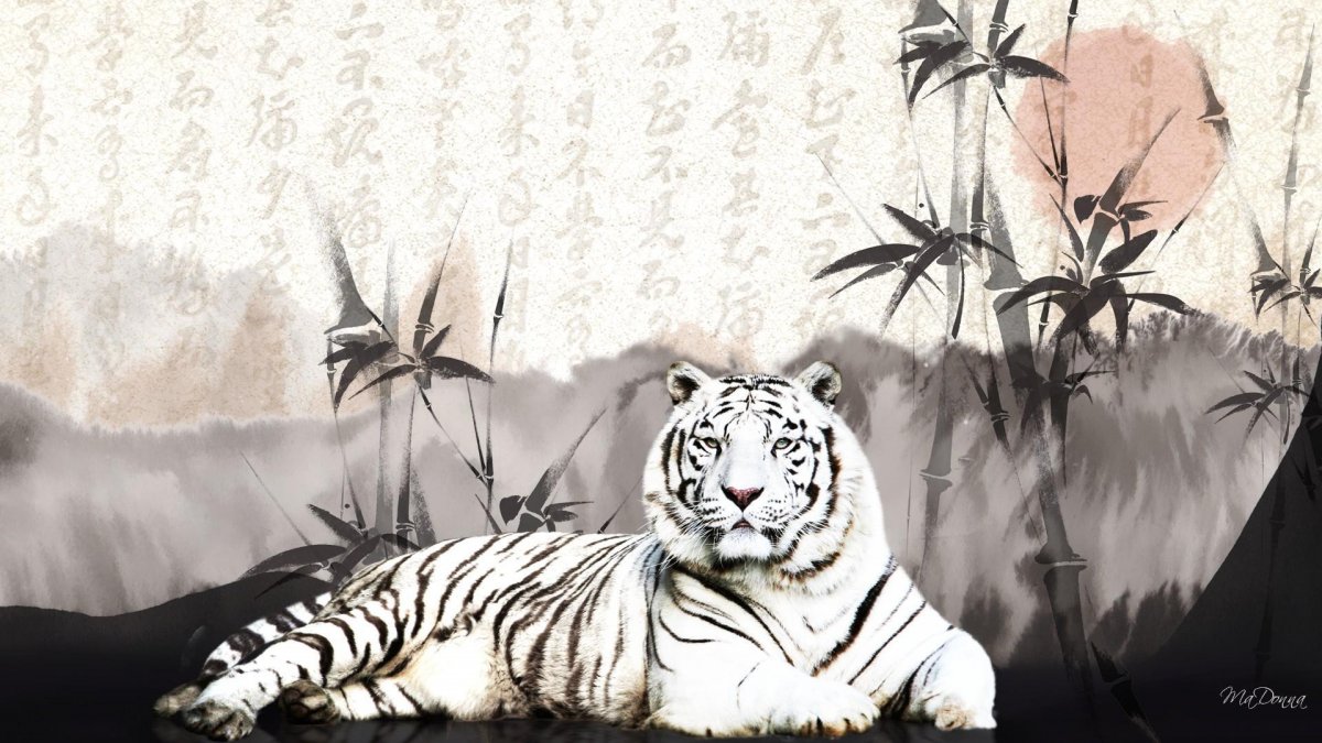 Азиатские тигры (63 фото)