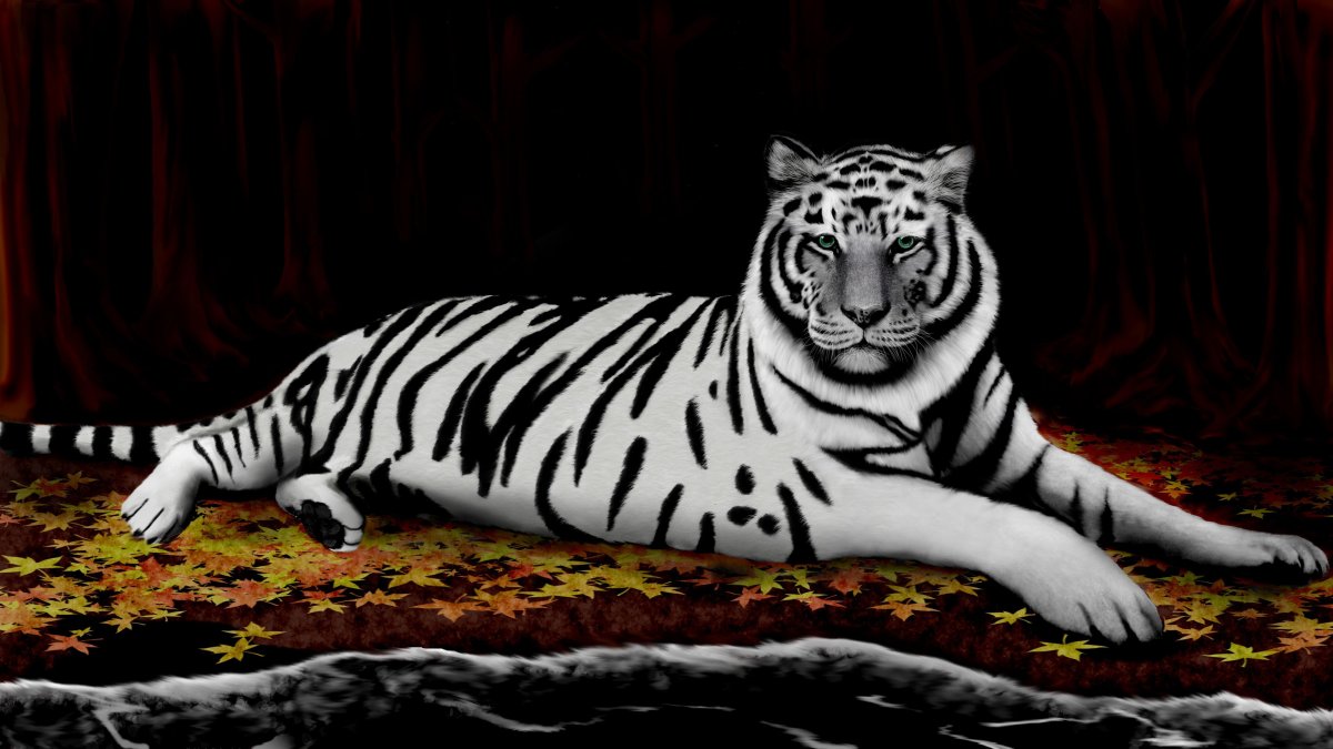 Тигр и тигрица (60 фото)