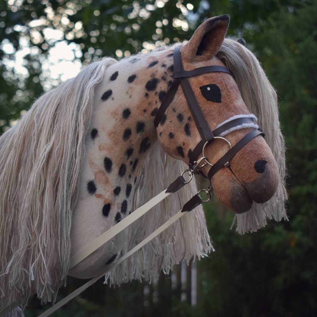 Лошадь на палке (57 фото)