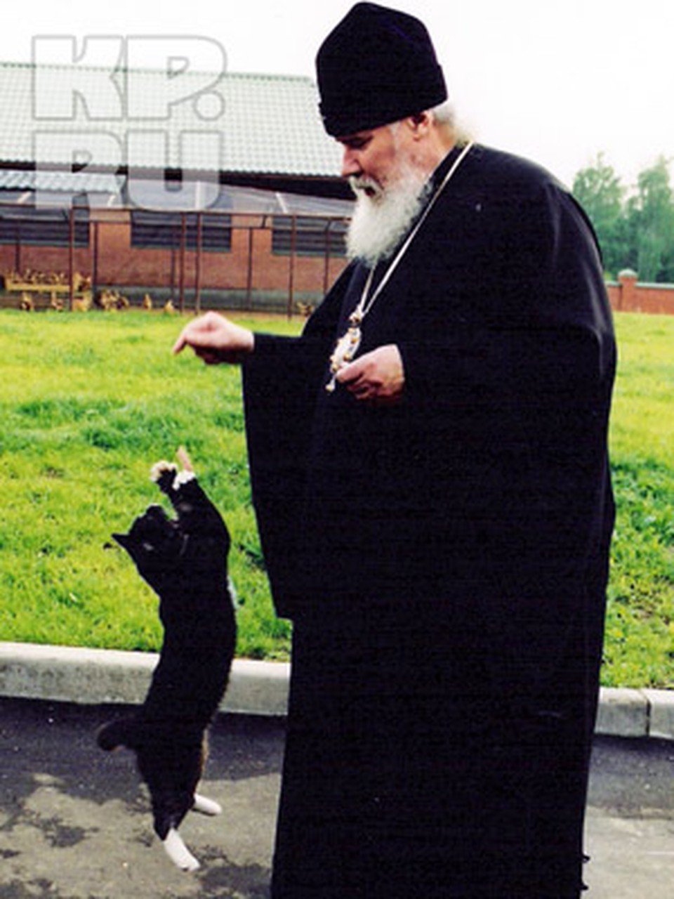 Кот священник (28 фото)