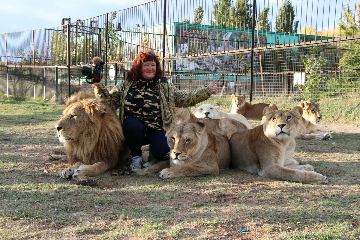 Крым Парк Львов Фото