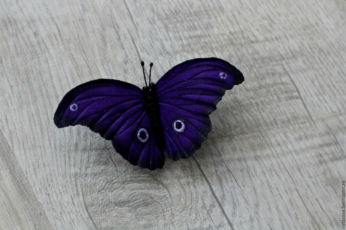 Фиолетовая бабочка (54 фото)