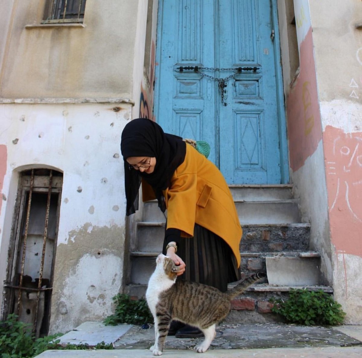 Кошка в хиджабе (33 фото)