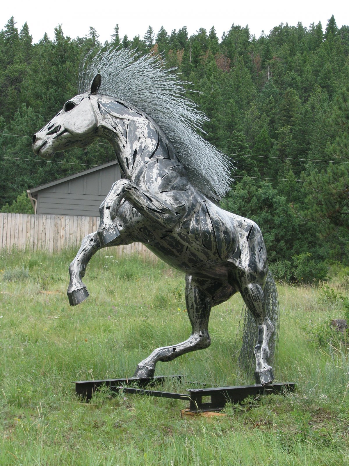 Металлическая лошадь (64 фото)