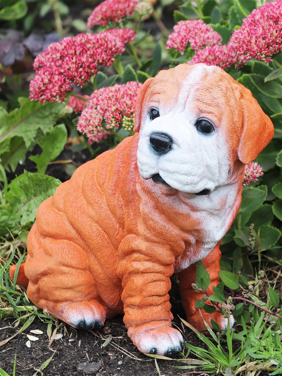 Оранжевая собака (58 фото)