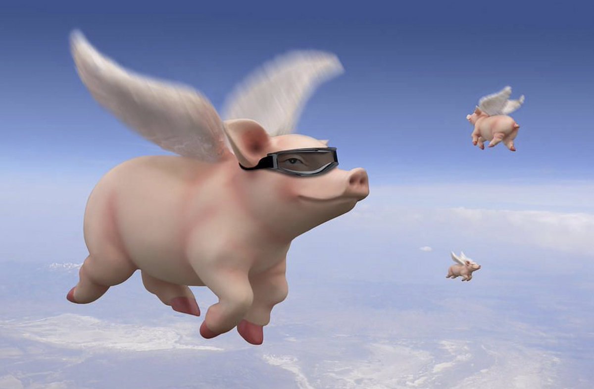 Flying pigs