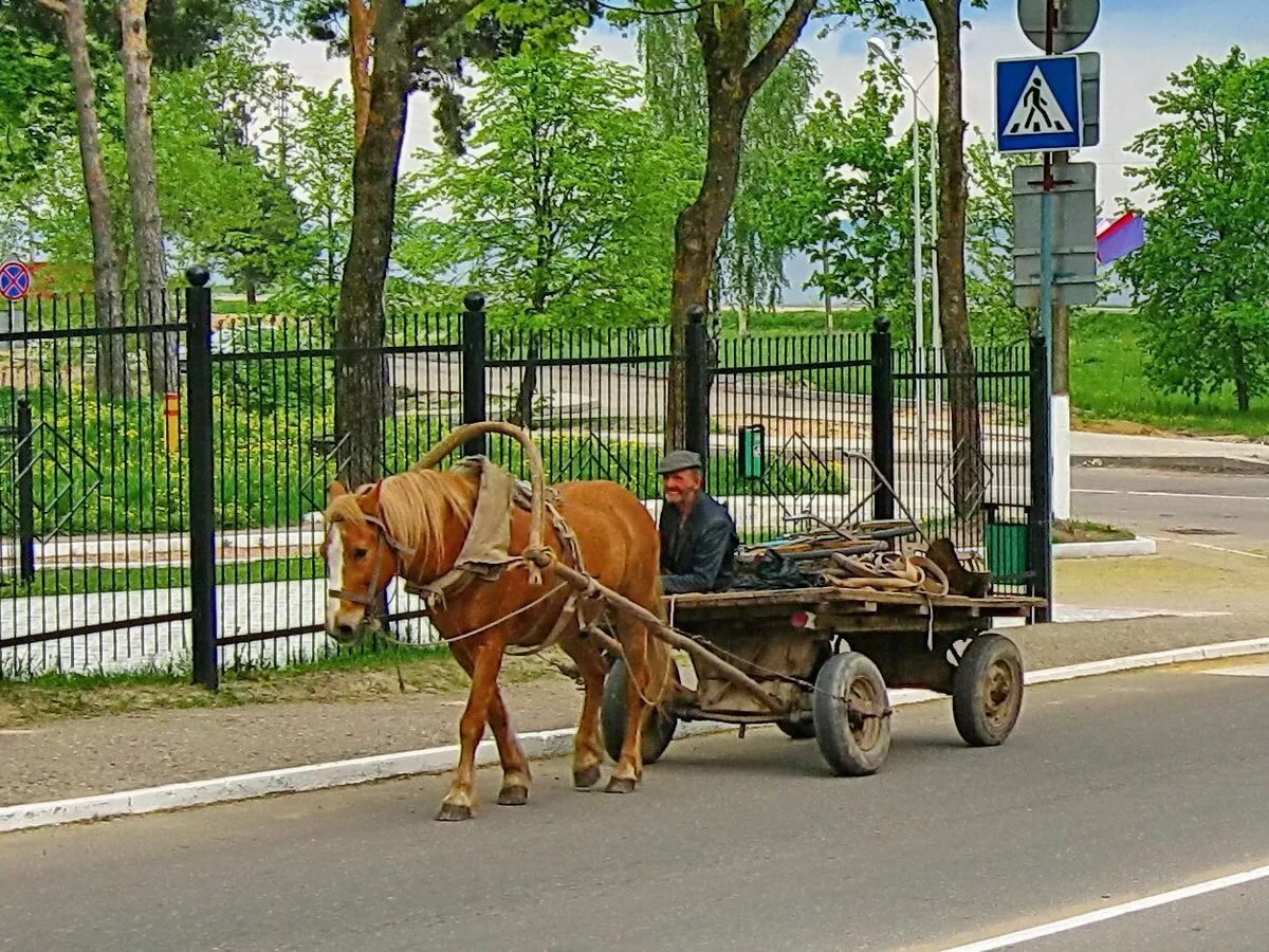 Поиск По Фото В Телеге