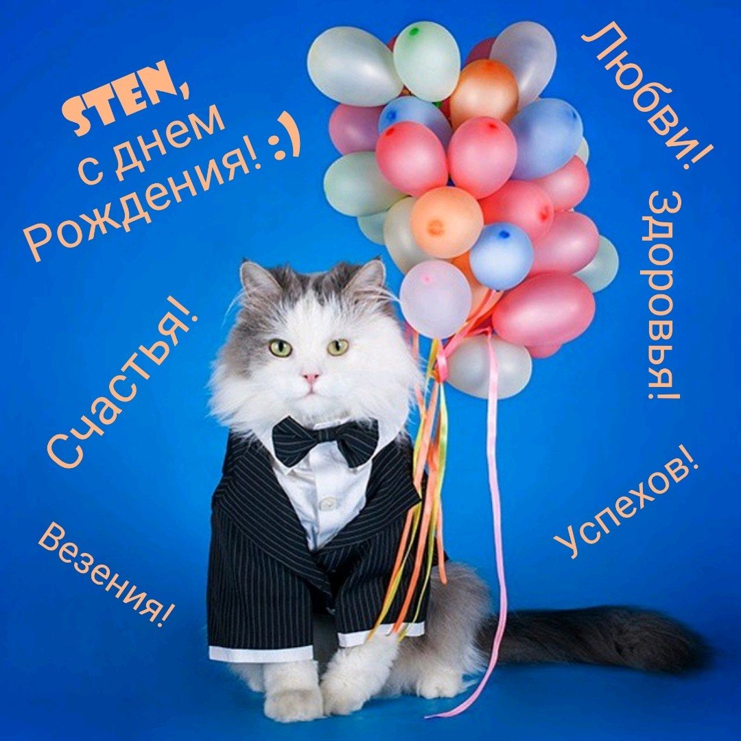 Кот с воздушными шарами (74 фото)