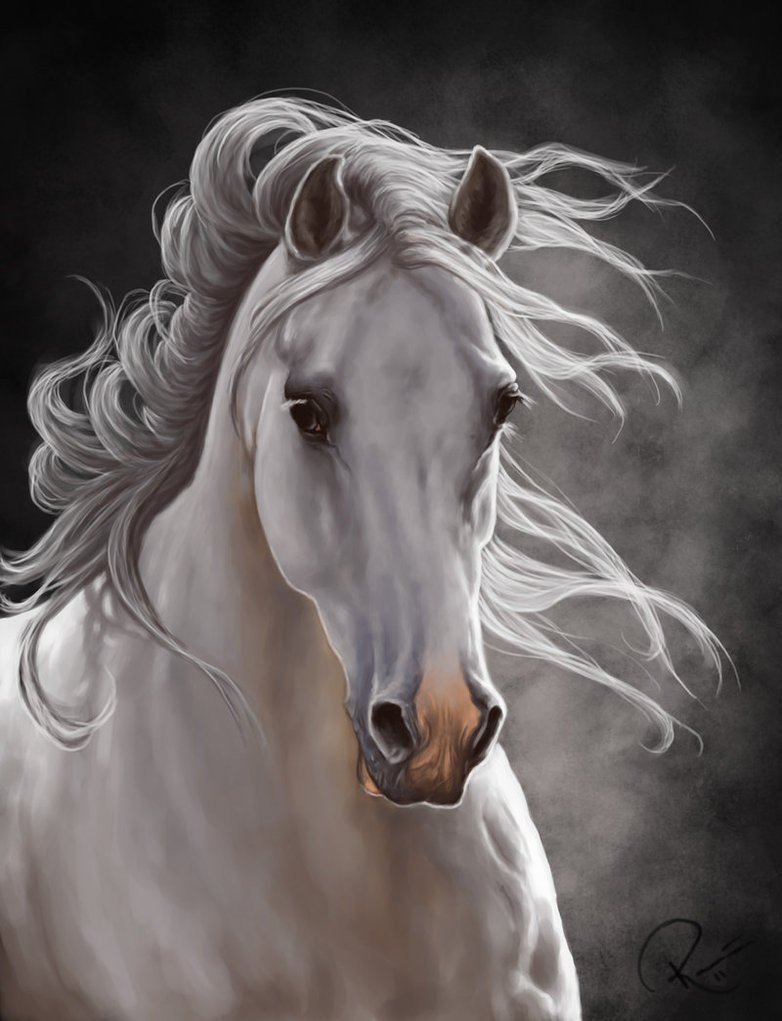 Белый конь арт (60 фото)