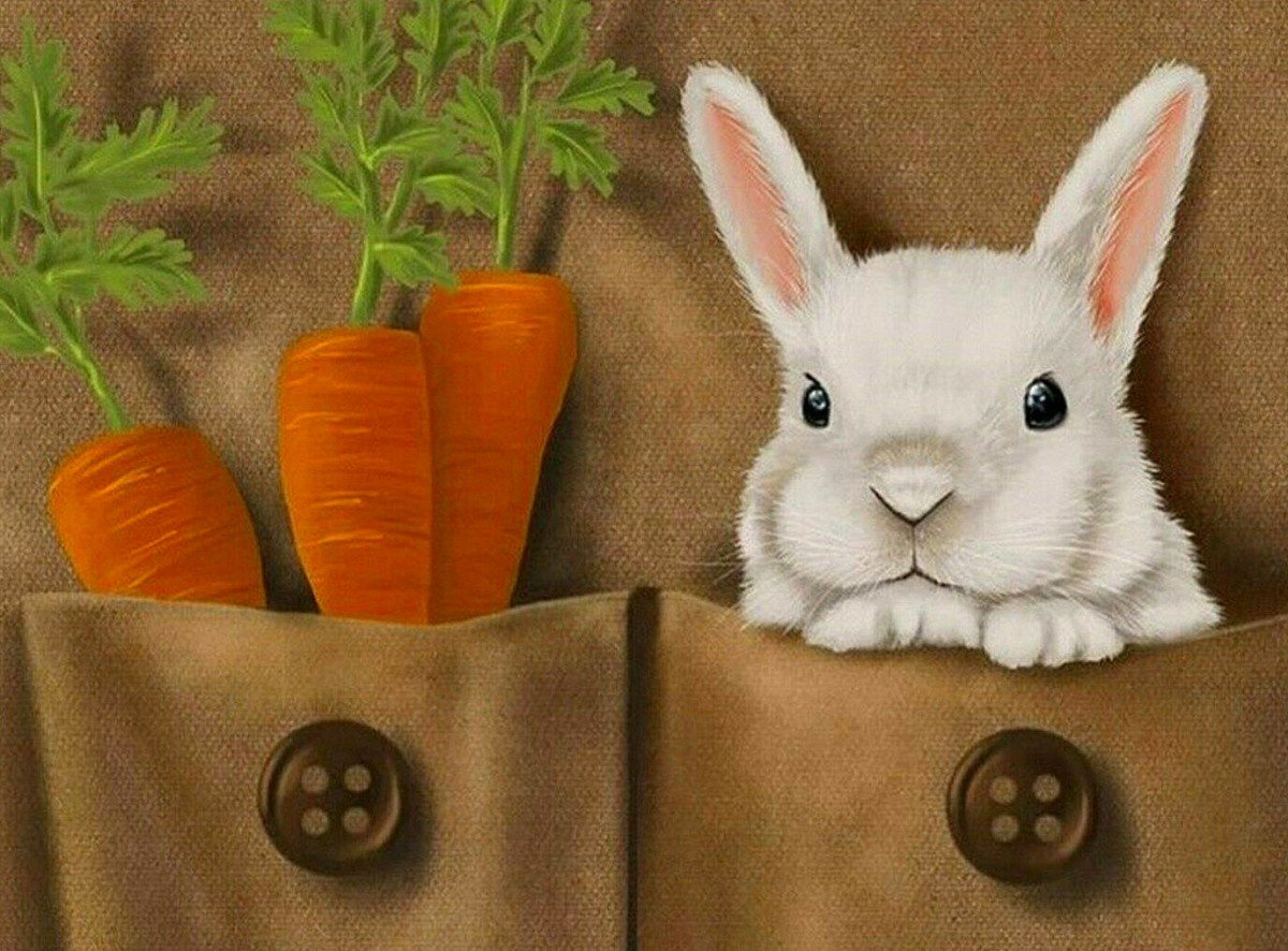 Кролик с морковкой арт (63 фото)